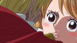 One Piece S19E31