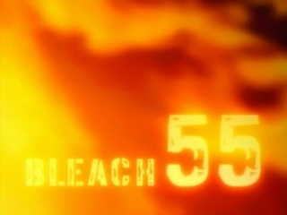 Bleach S03E14