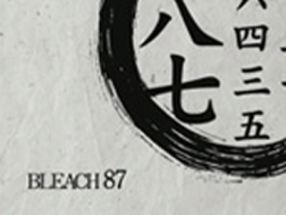 Bleach S04E24