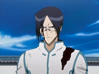 Bleach S05E12