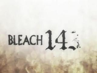 Bleach S07E12