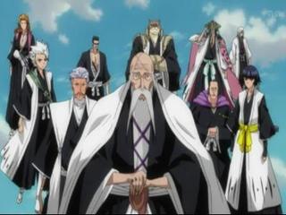 Bleach S10E14