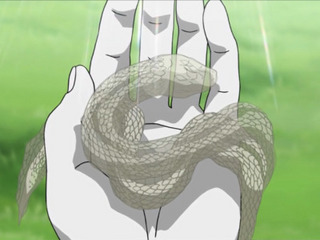 Naruto Shippûden S06E02