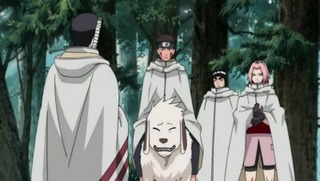 Naruto Shippûden S10E16
