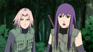 Naruto Shippûden S14E13