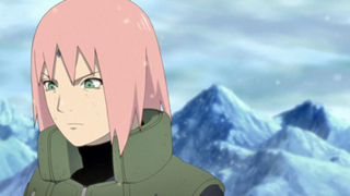Naruto Shippûden S22E05