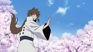 Naruto Shippûden S22E09
