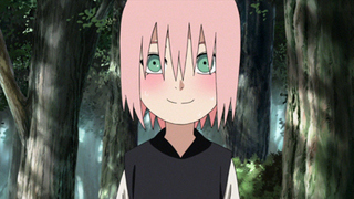 Naruto Shippûden S22E23