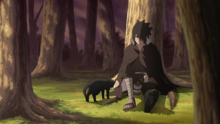 Naruto Shippûden S22E26