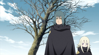 Naruto Shippûden S22E29