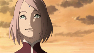 Naruto Shippûden S22E30