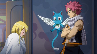 Fairy Tail S02E25