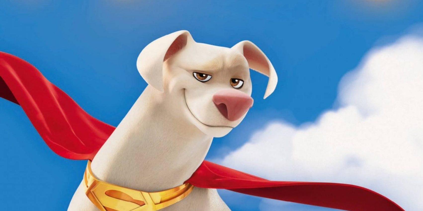Krypto et les Super-Animaux : une histoire pour les plus jeunes qui auront  adoré le film - Superpouvoir.comSuperpouvoir.com
