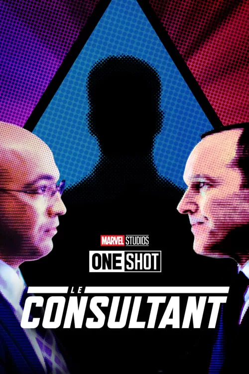 Affiche Le consultant