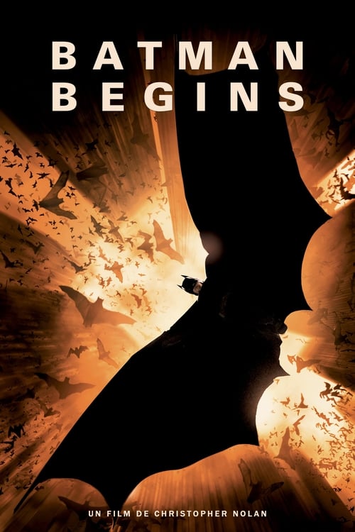 affiche Batman Begins