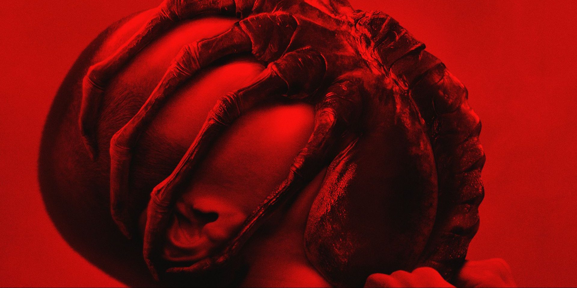 Le terrible Facehugger sur le poster promo d'Alien: Romulus.