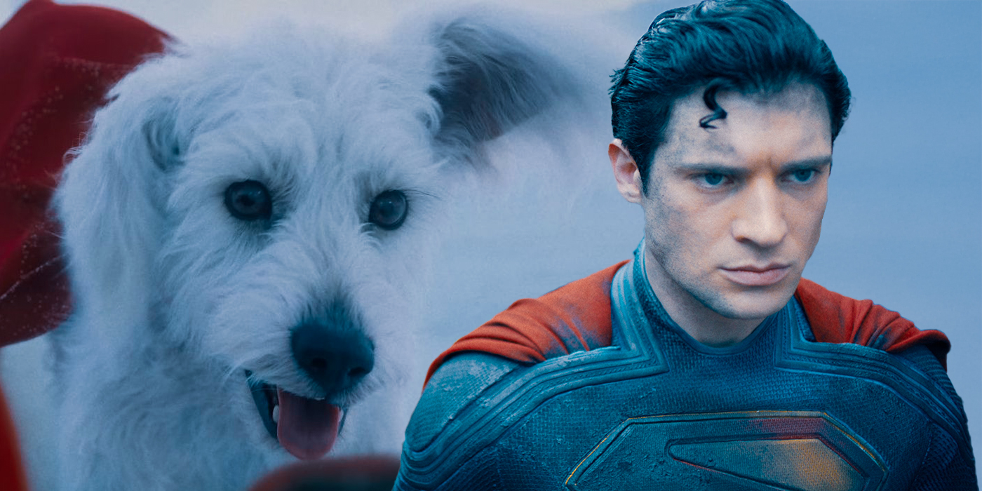 Superman : pourquoi son chien Krypto est plus important que vous ne le  pensez - Superpouvoir.comSuperpouvoir.com