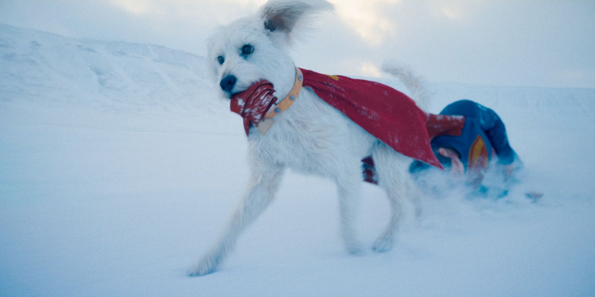 Krypto sauve Superman bien mal en point près de sa Forteresse de Solitude.