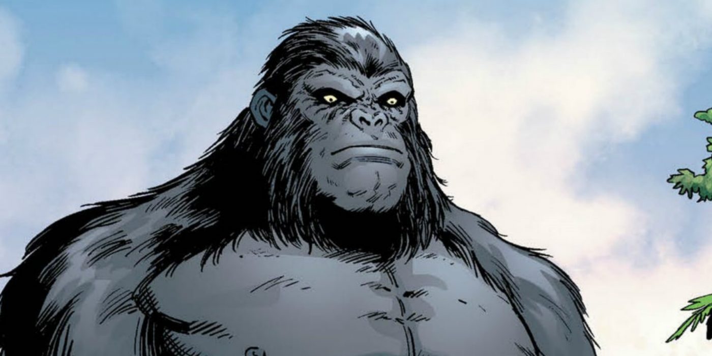 Gorilla Grodd dans les comics The Flash.