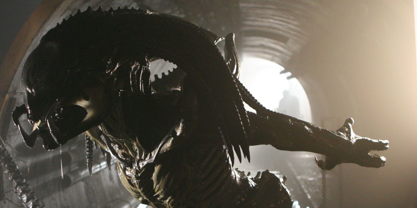Un Predalien, lorsque la créature est implanté dans un Yautja, les fameux Prédators.