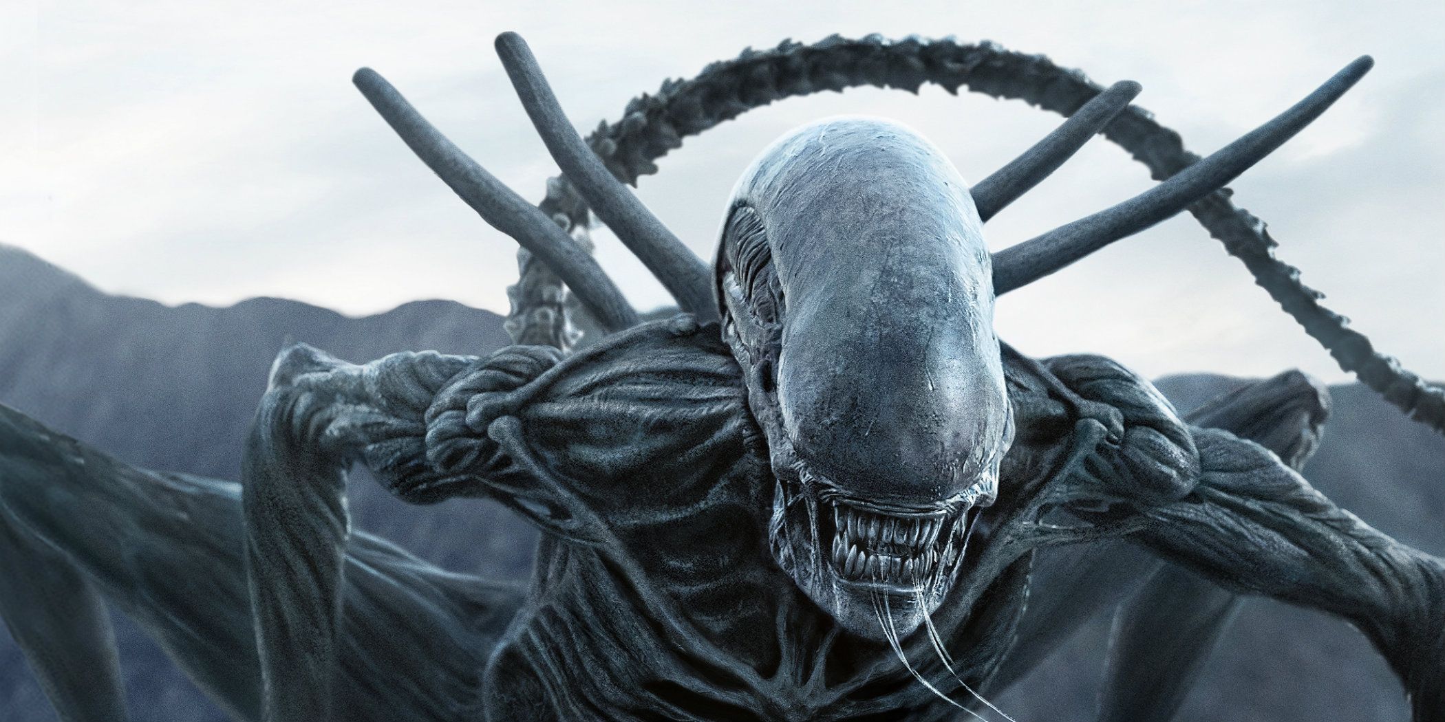 Le Xénormorphe dans Alien: Covenant.