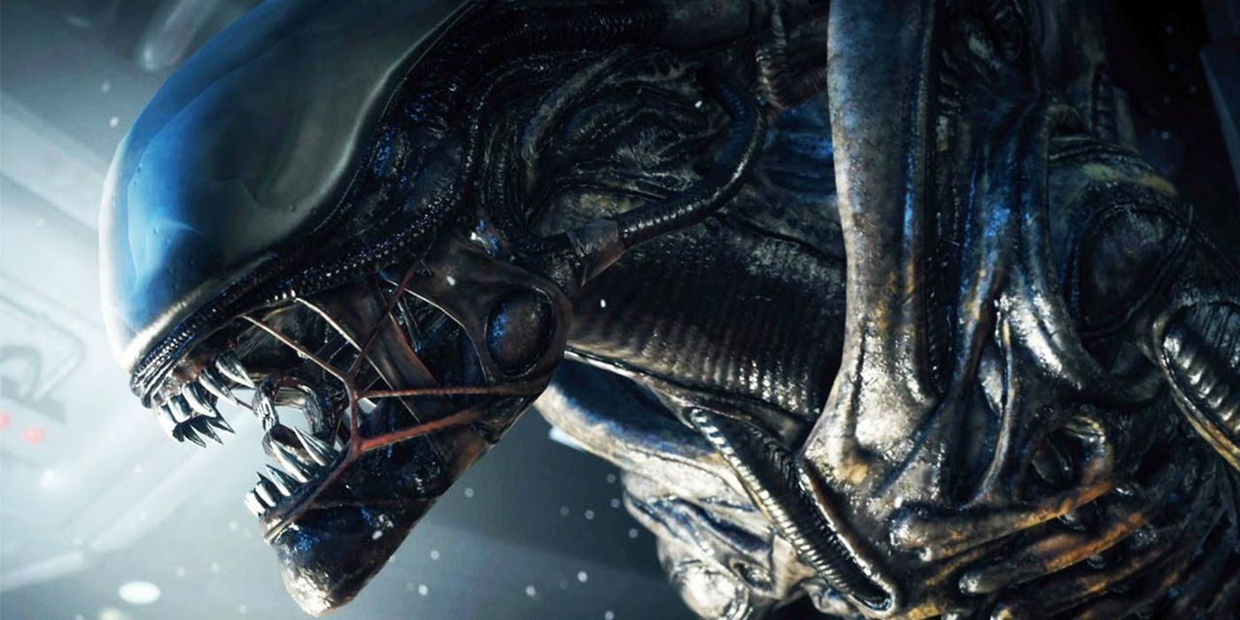 Un Xénormorphe dans Alien: Covenant.