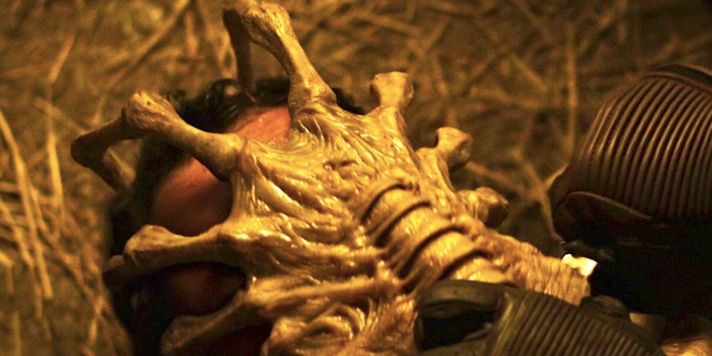 La facehugger, première étape de l'évolution du Xénomorphe.