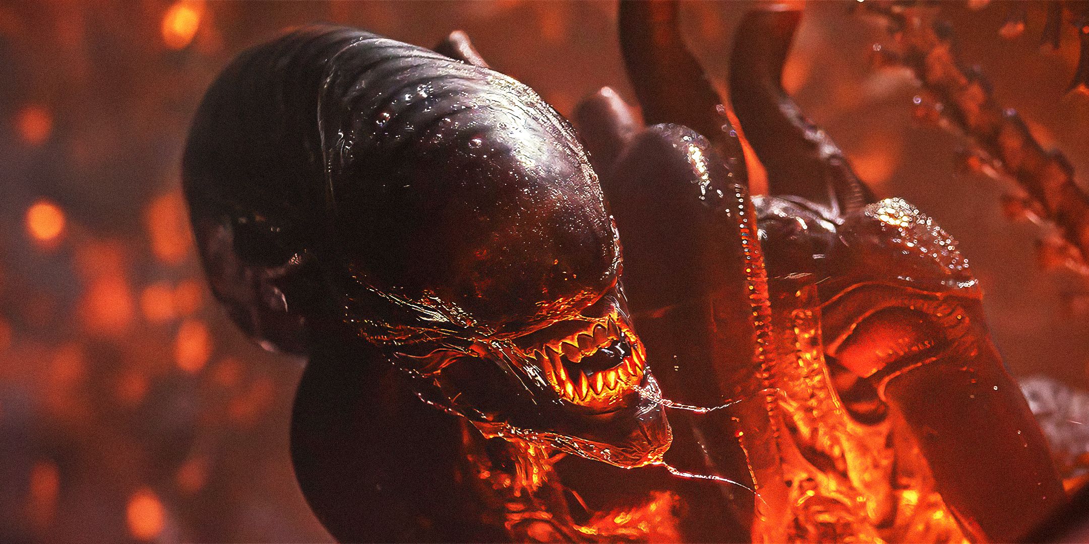 Un Xénomorphe dans la série Alien: Earth.