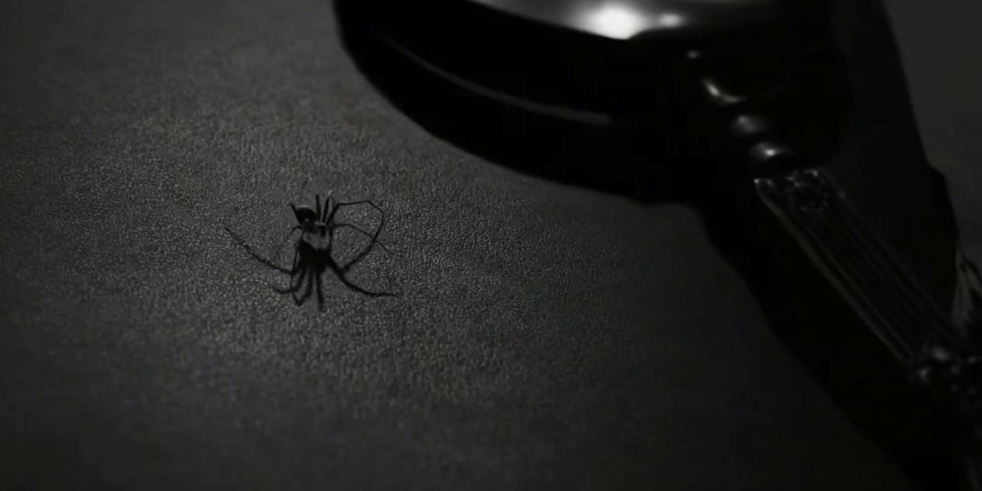 La fameuse araignée qui piquera Nicolas Cage dans Spider-Noir.