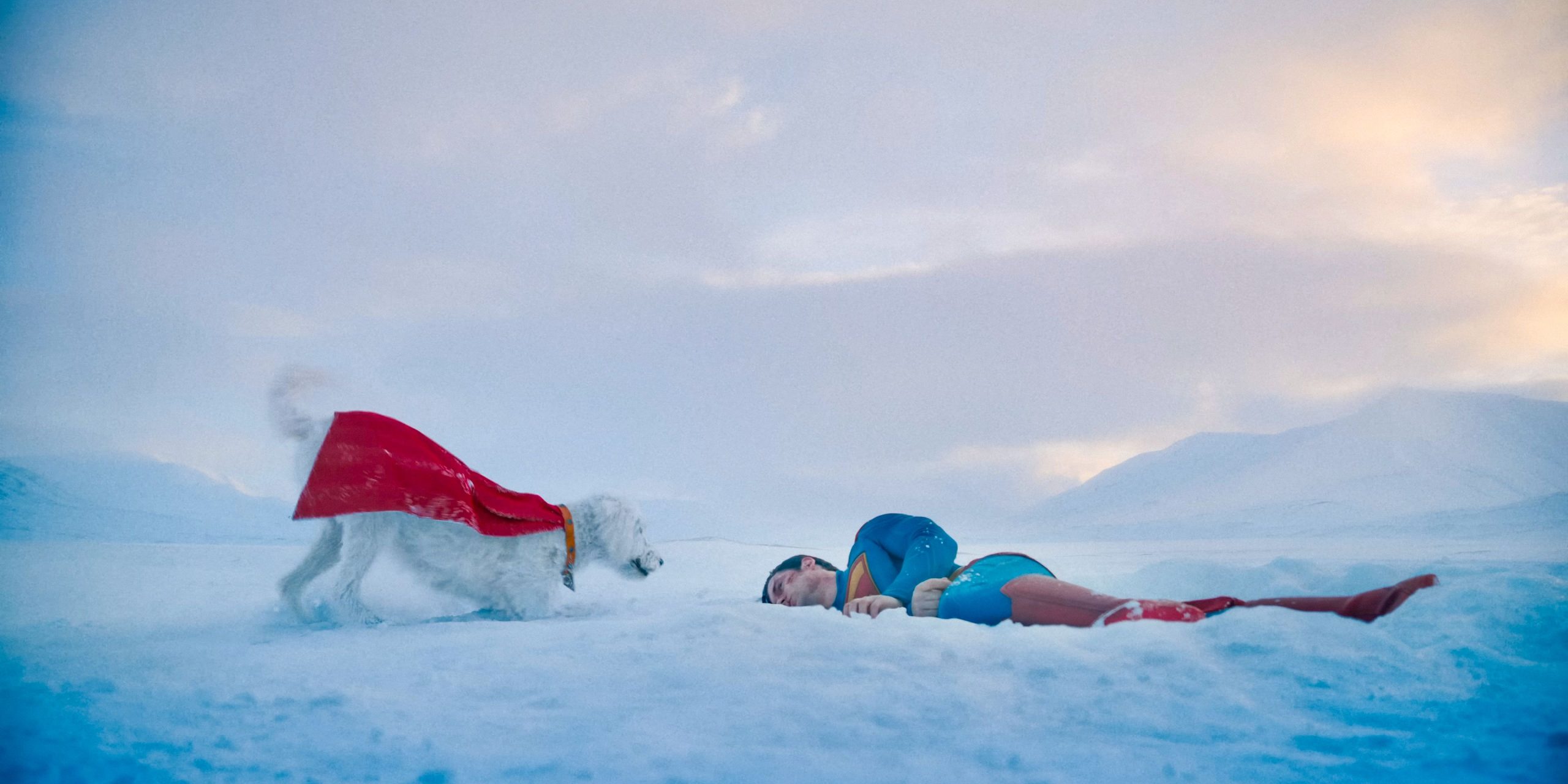 Krypto et Superman (David Corenswet).