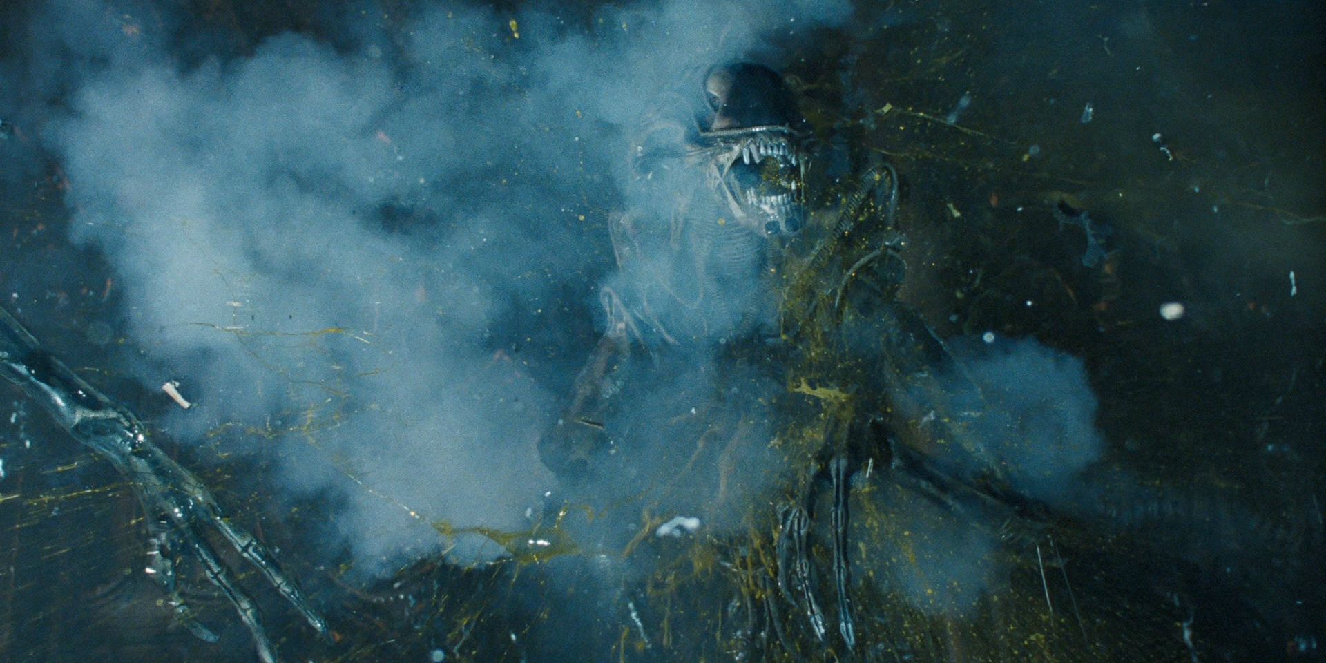 Un xénormorphe blessé dans la saga Alien.