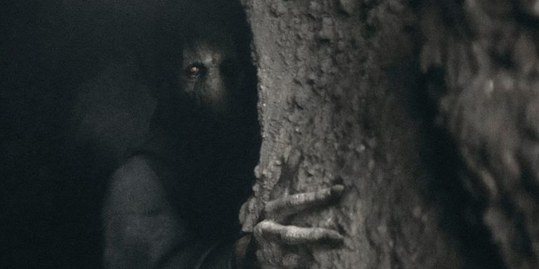 Qui est Dark Plagueis, le maître oublié de Palpatine ? Origine, pouvoirs, mort et place dans Star Wars