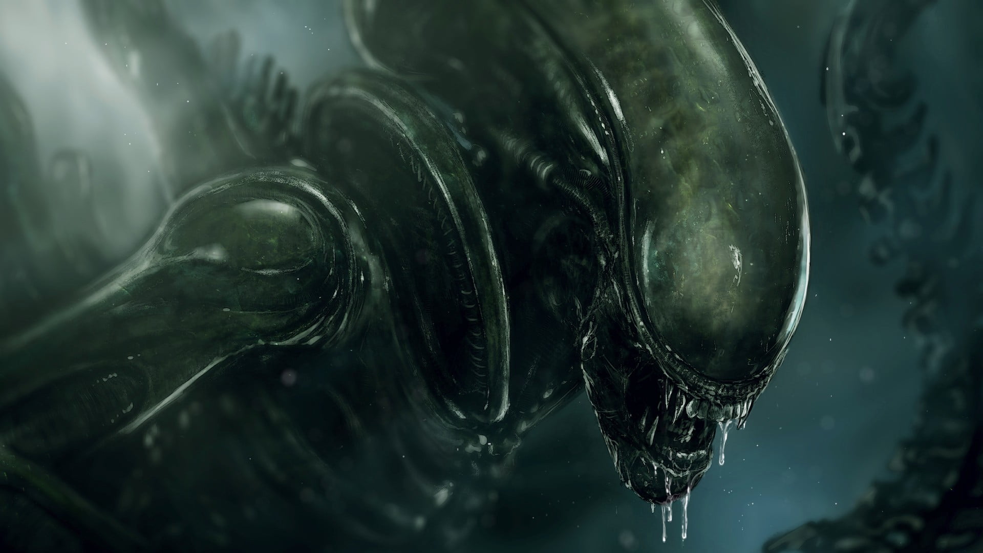 Le fameux xénomorphe dans la saga Alien.
