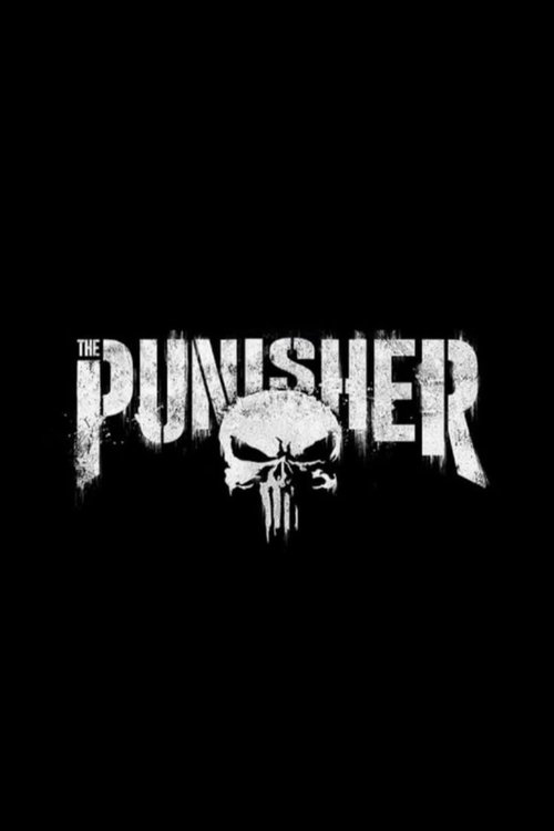 Affiche The Punisher: One Last Kill