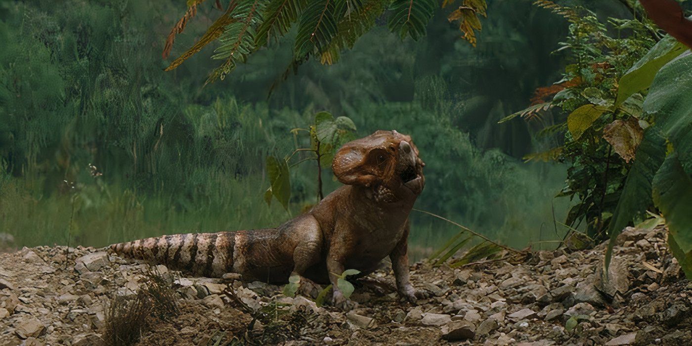 Delores, une jeune Aquilops dans Jurassic World : Renaissance.