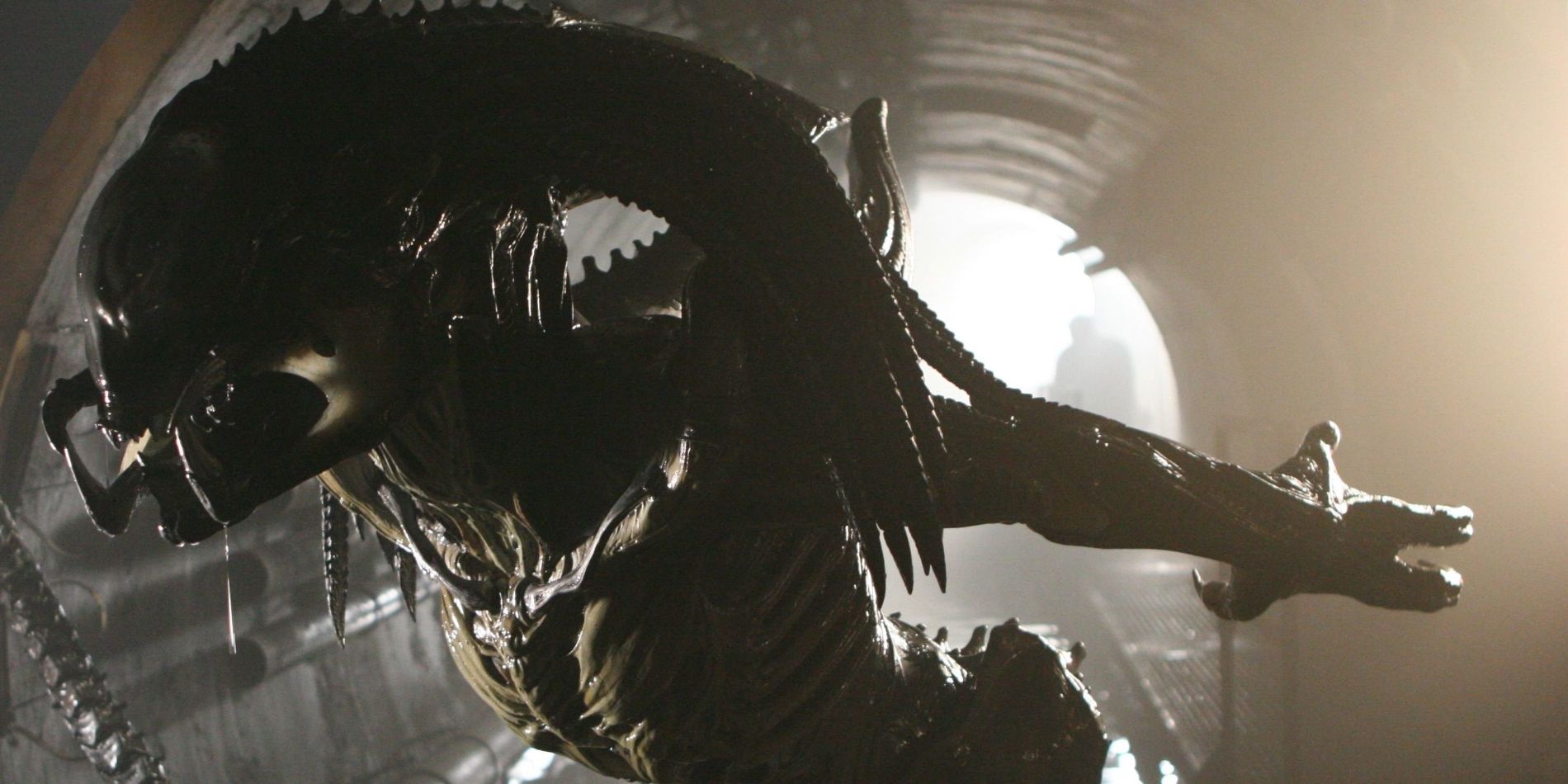 Le predalien dans Alien vs Predator: Requiem.