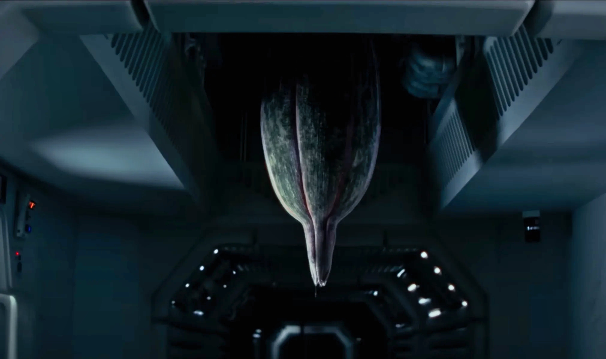 De mystérieux bourgeons extraterrestres provenant du vaisseau Maginot dans Alien: Earth : le D. Plumbicare.