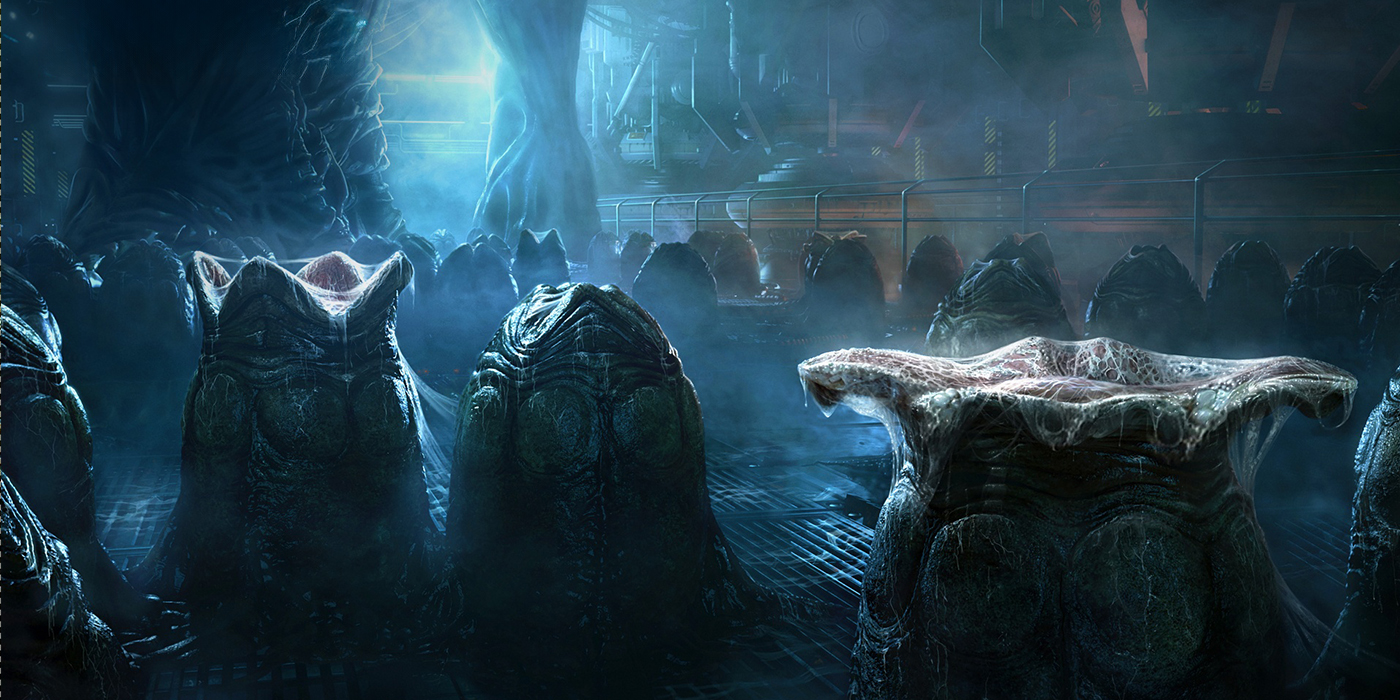 Les ovomorphes, les fameux œufs des Xénomorphes dans la saga Alien.