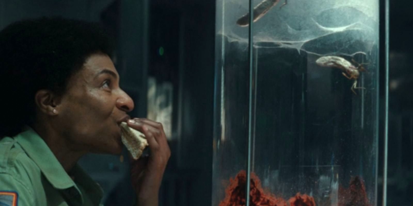 L'espèce 19, la terrible tique extraterrestre, dans l'épisode 5 de la série Alien: Earth sur Disney+.