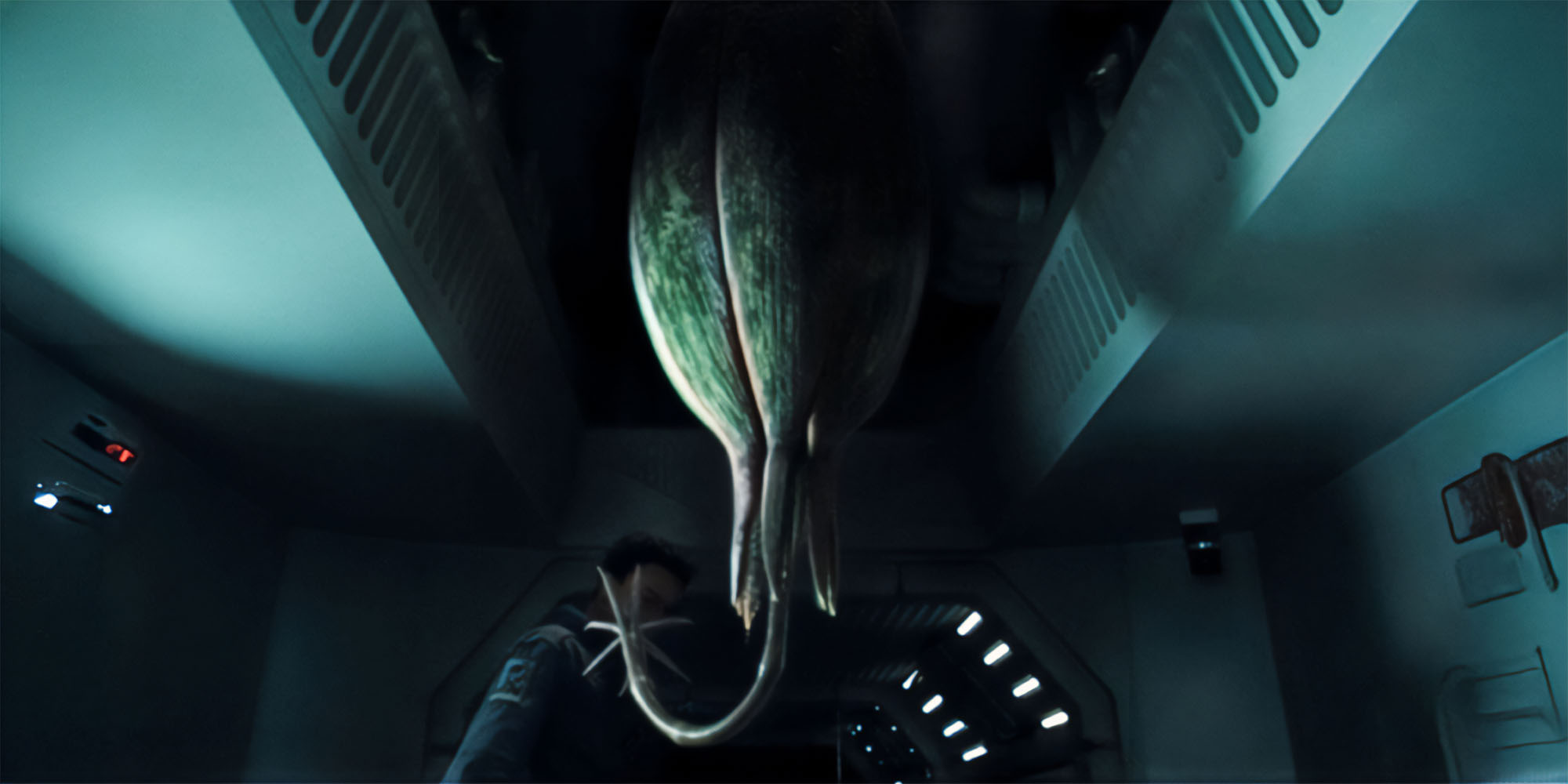 La terrible D. Plumbicare, une des espèces extraterrestres de la série Alien: Earth.
