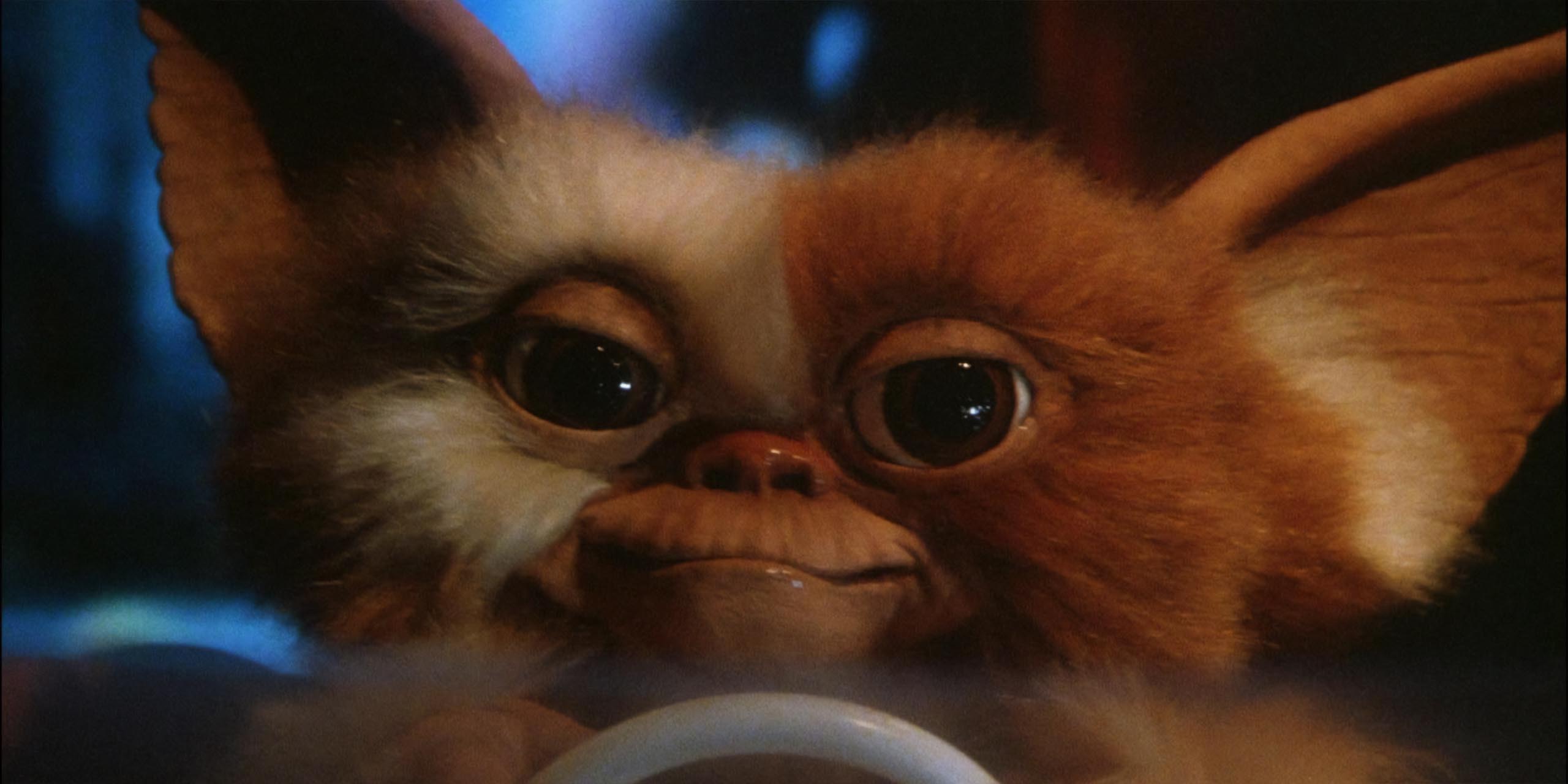 Gizmo au voulant d'une voiture dans un magasin de jouets dans Gremlins.
