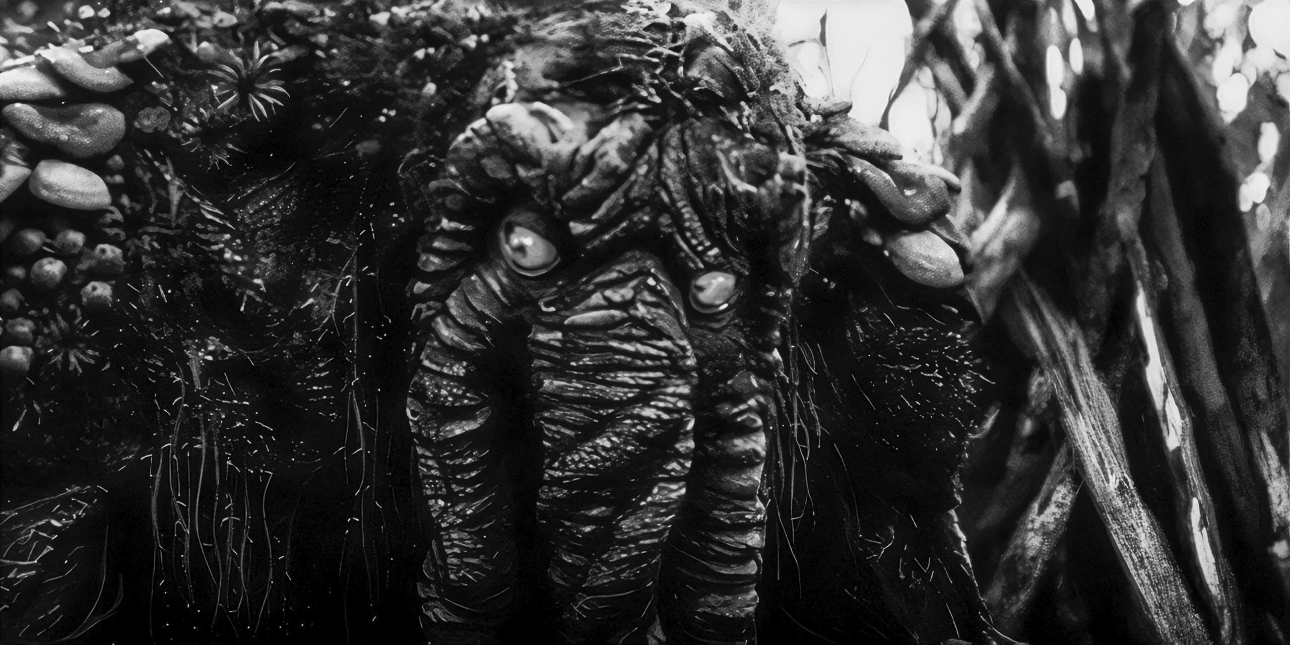 Man-Thing dans Werewolf by Night.