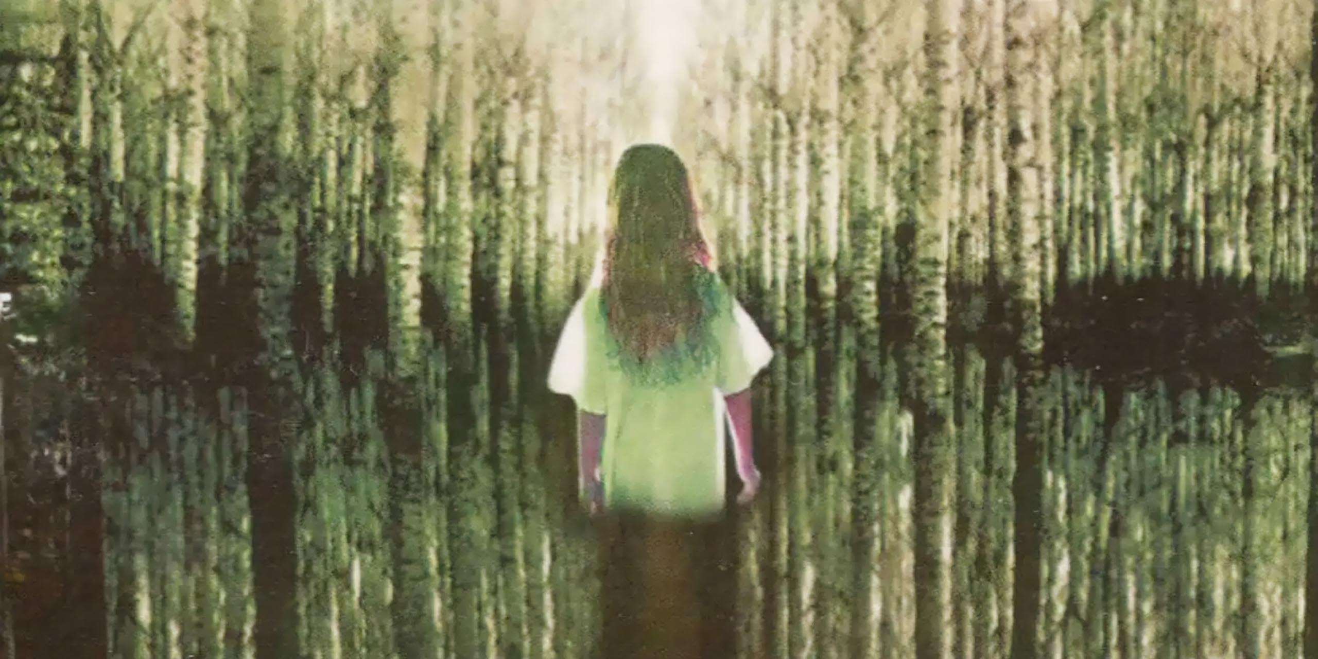 Illustration de couverture du roman La Petite Fille qui aimait Tom Gordon de Stephen King.