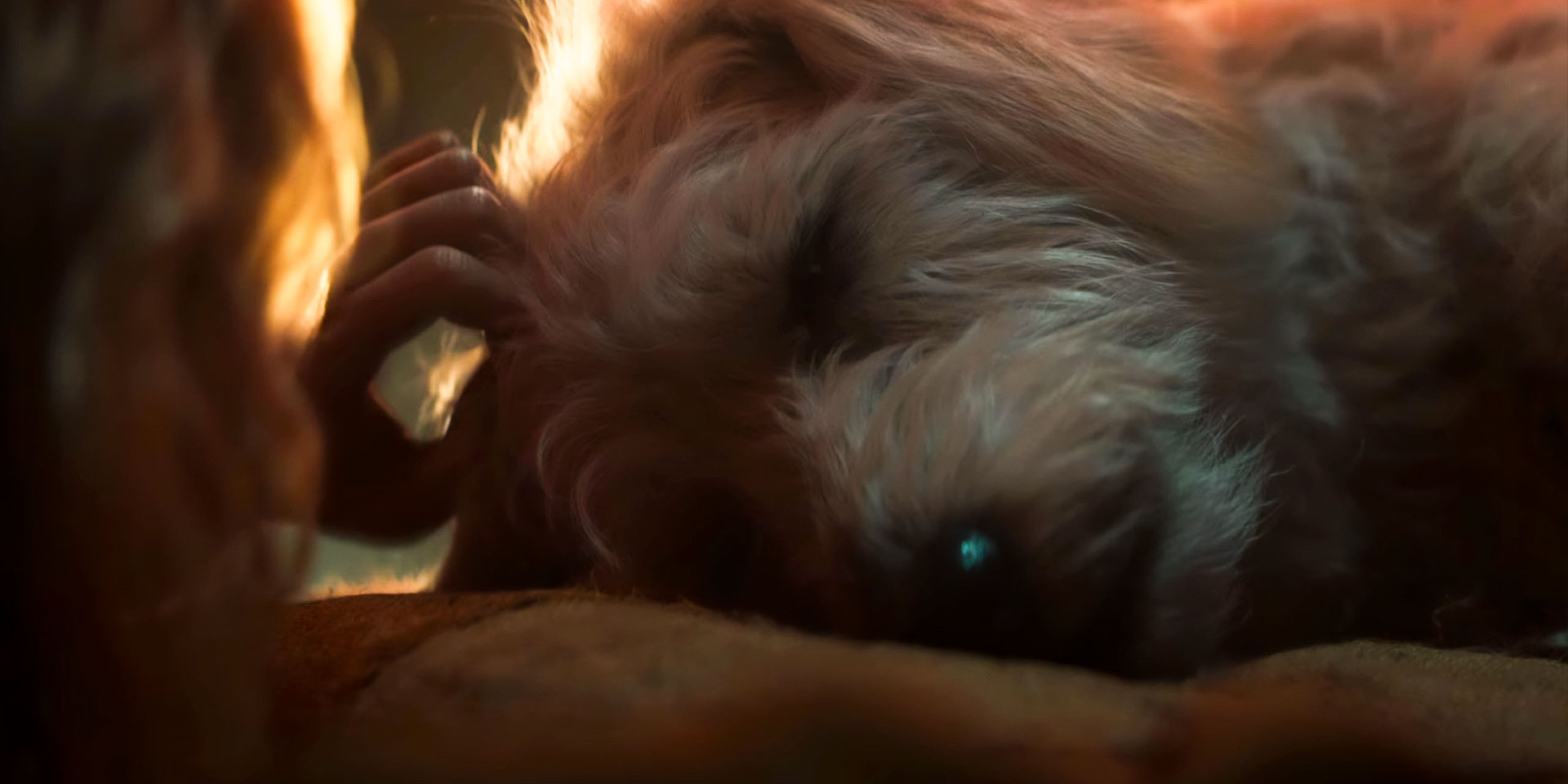 Krypto mal en point dans Supergirl.