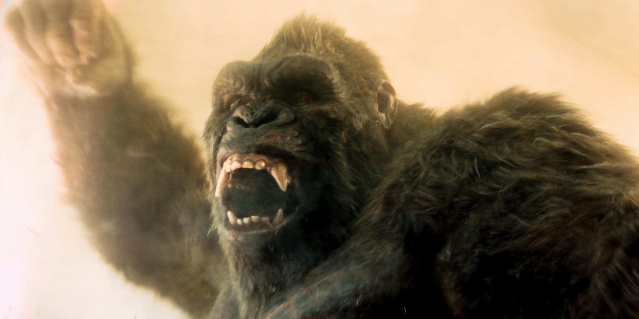 King Kong sur l'île du Crâne Skull Island dans la saison 2 de Monarch: Legacy of Monsters.