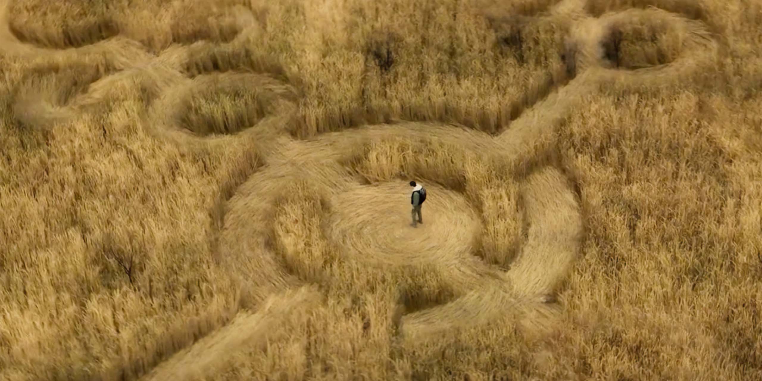 Un crop circle dans un champ de blé, trace des extra-terrestres dans Disclosure Day.