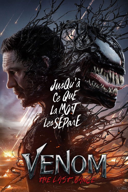 Affiche Venom 3: The Last Dance