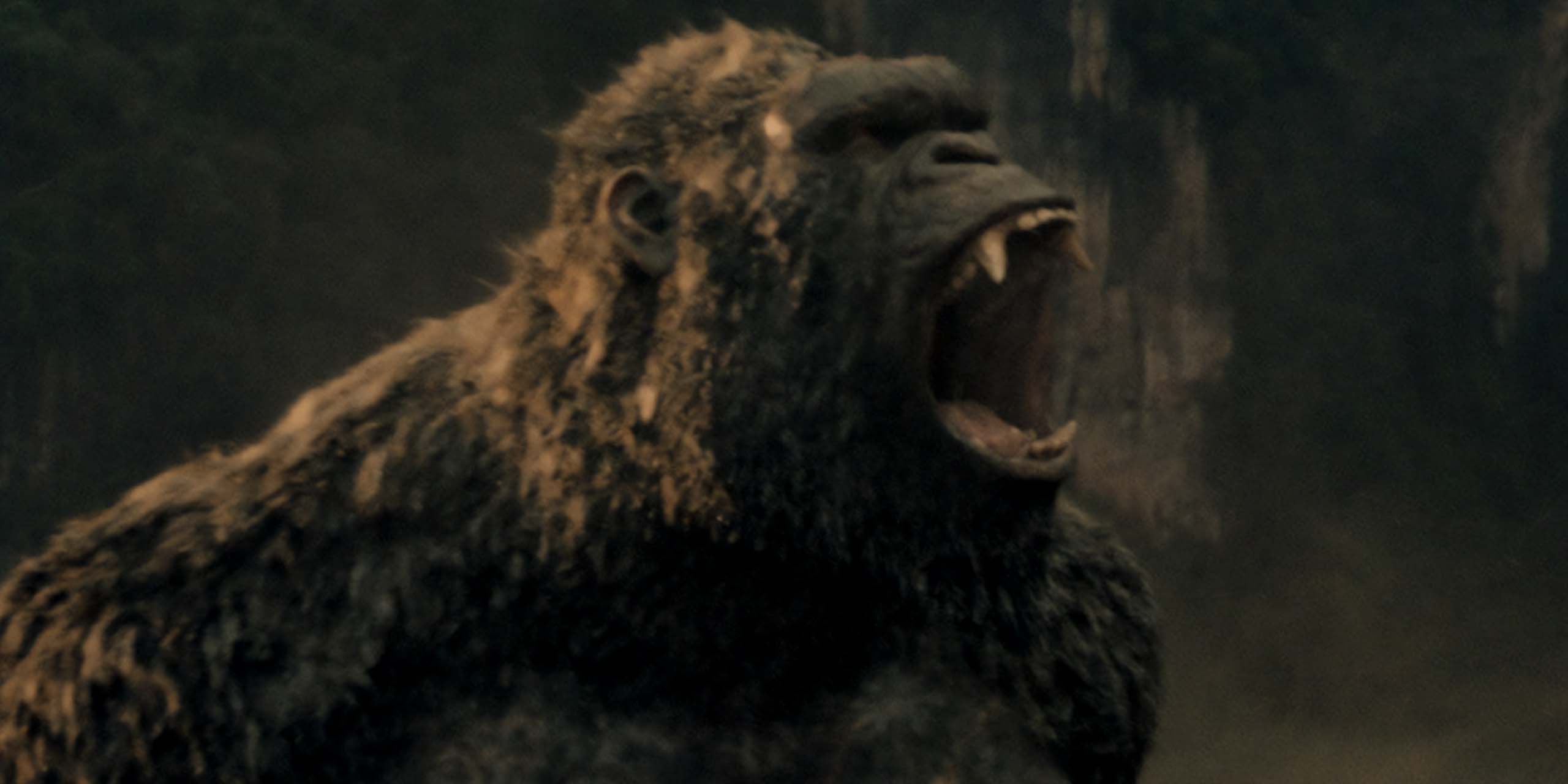 King Kong dans la saison 2 de Monarch: Legacy of Monsters.
