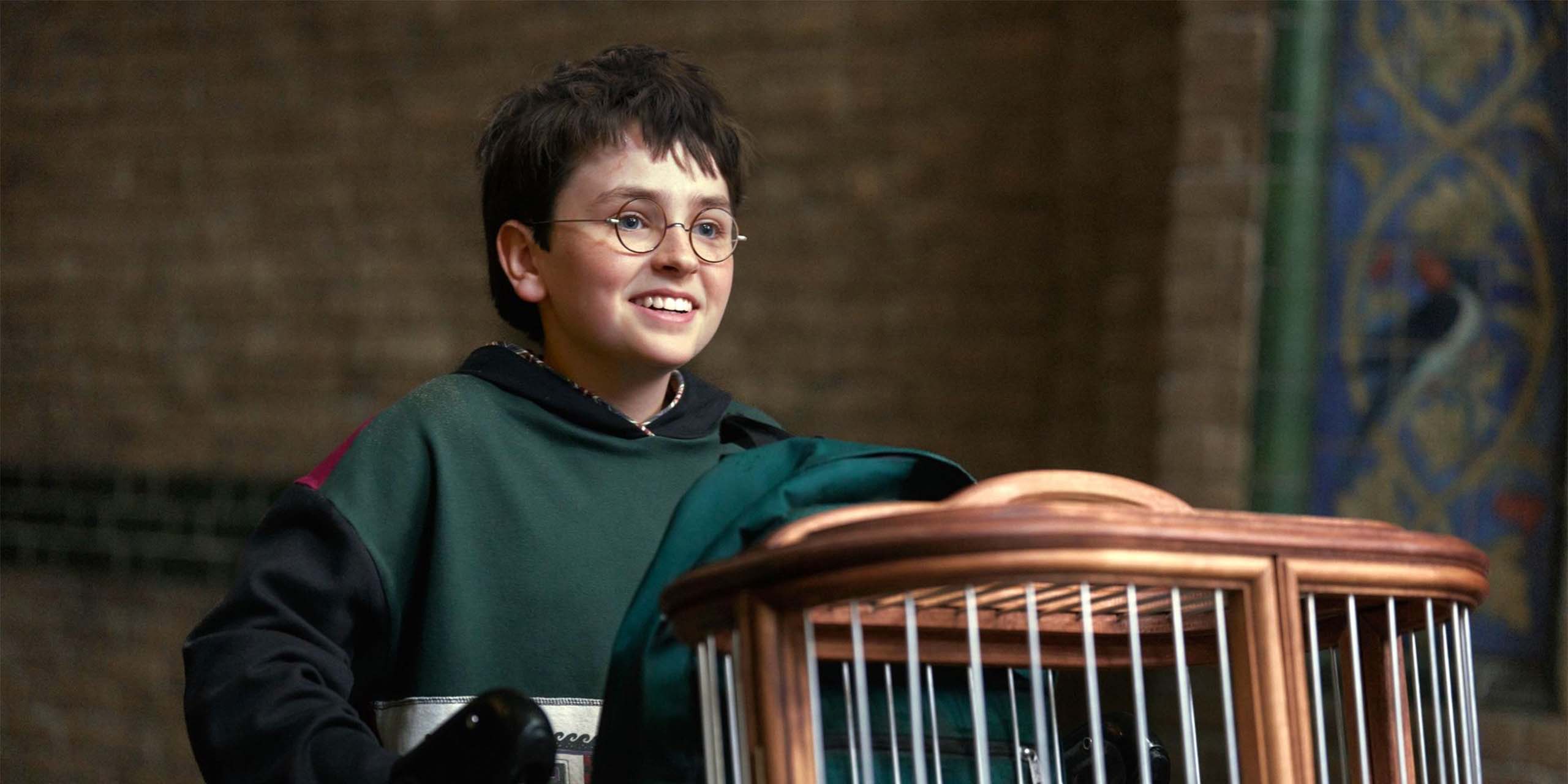 Dominic McLaughlin dans le rôle de Harry Potter avec Hedwige dans Harry Potter à l'école des sorciers