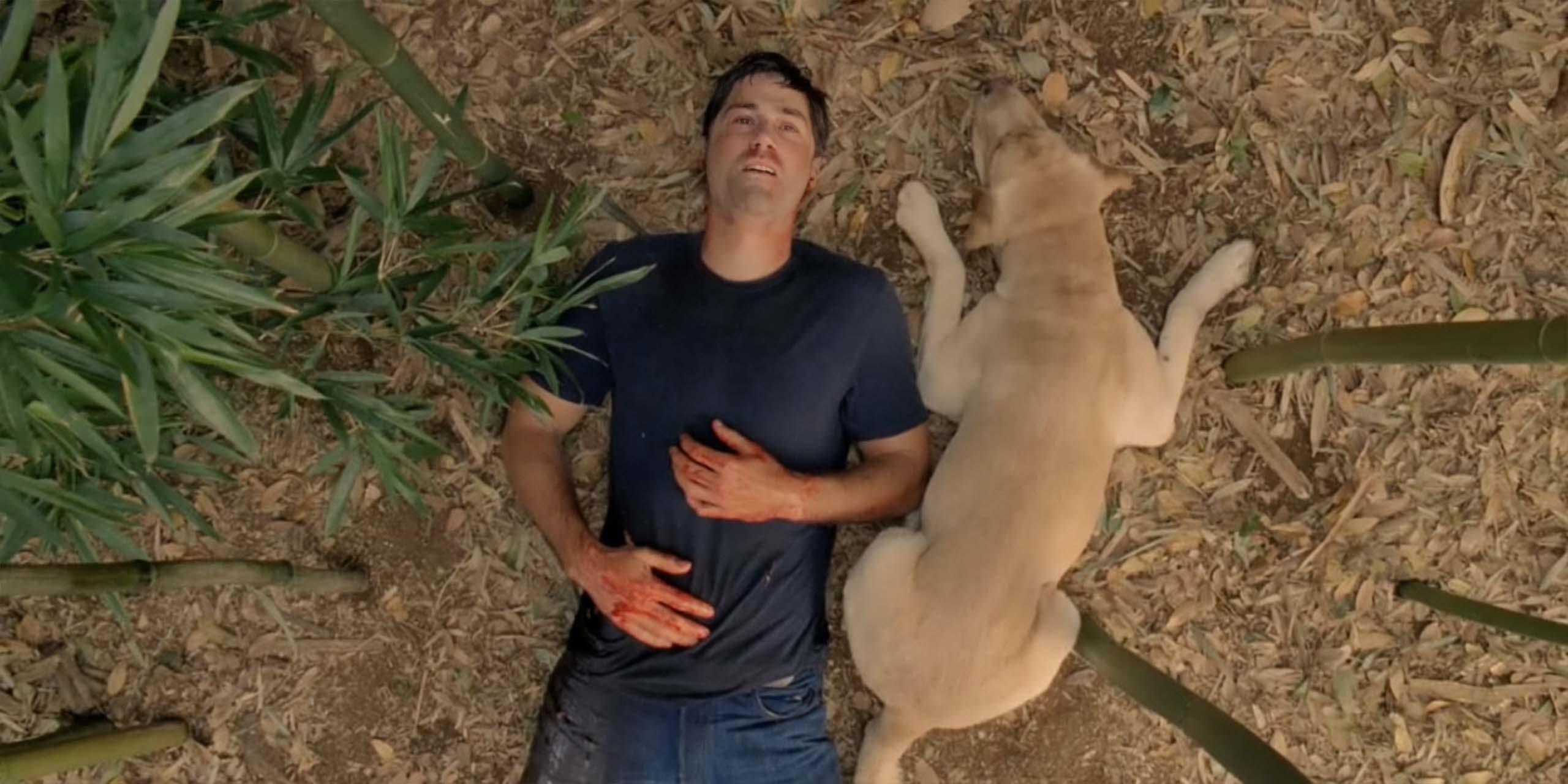 Jack Shepard (Matthew Fox) et le chien dans le grand final de Lost.